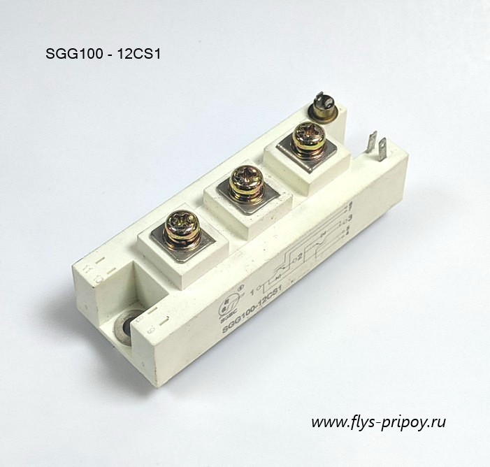 SGG 100  - 12CS1  - IGBT  , 100 A - 1200 V